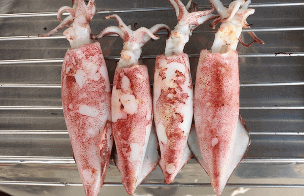 Calamares Encebollados Receta Fácil y Deliciosa